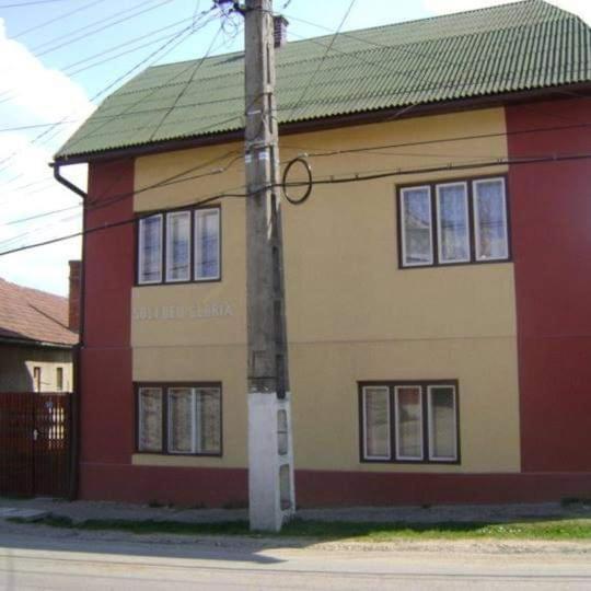 Pensiunea Shalom Sîncraiu エクステリア 写真